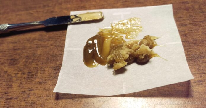gmo rosin meaning