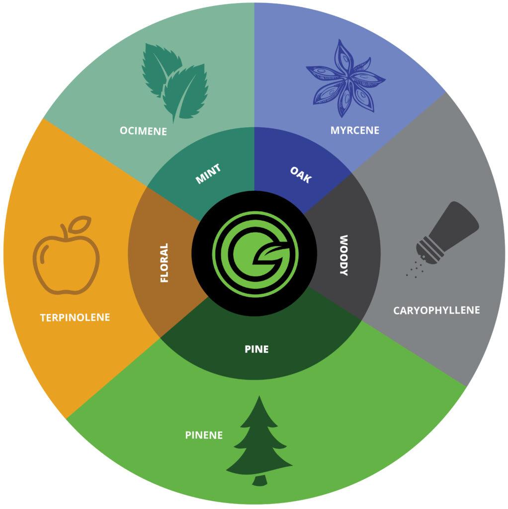 flavor Profiles‌ and Aromas: Elevating Your ‌Cannabis Experience