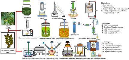 Exploring the Extraction Methods and Their Impacts