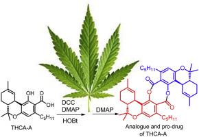 Exploring the basics of THCA ⁢and ⁣Its Unique Benefits