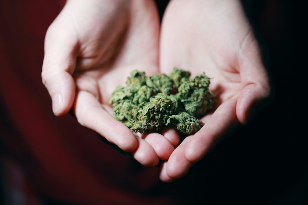 Understanding​ THCA: The Basics of Tetrahydrocannabinolic ‍Acid