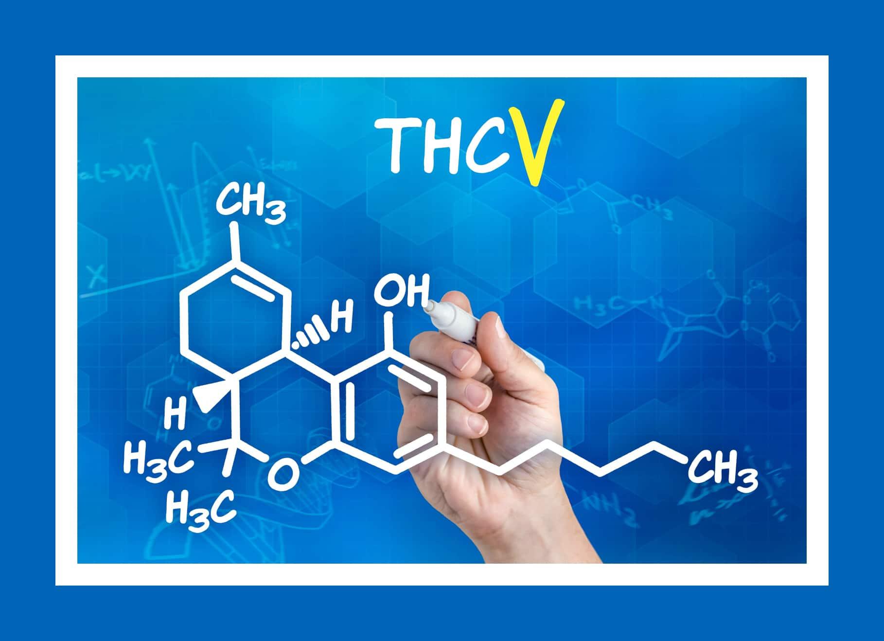 Navigating ‌the Myths and Facts Surrounding THC-V
