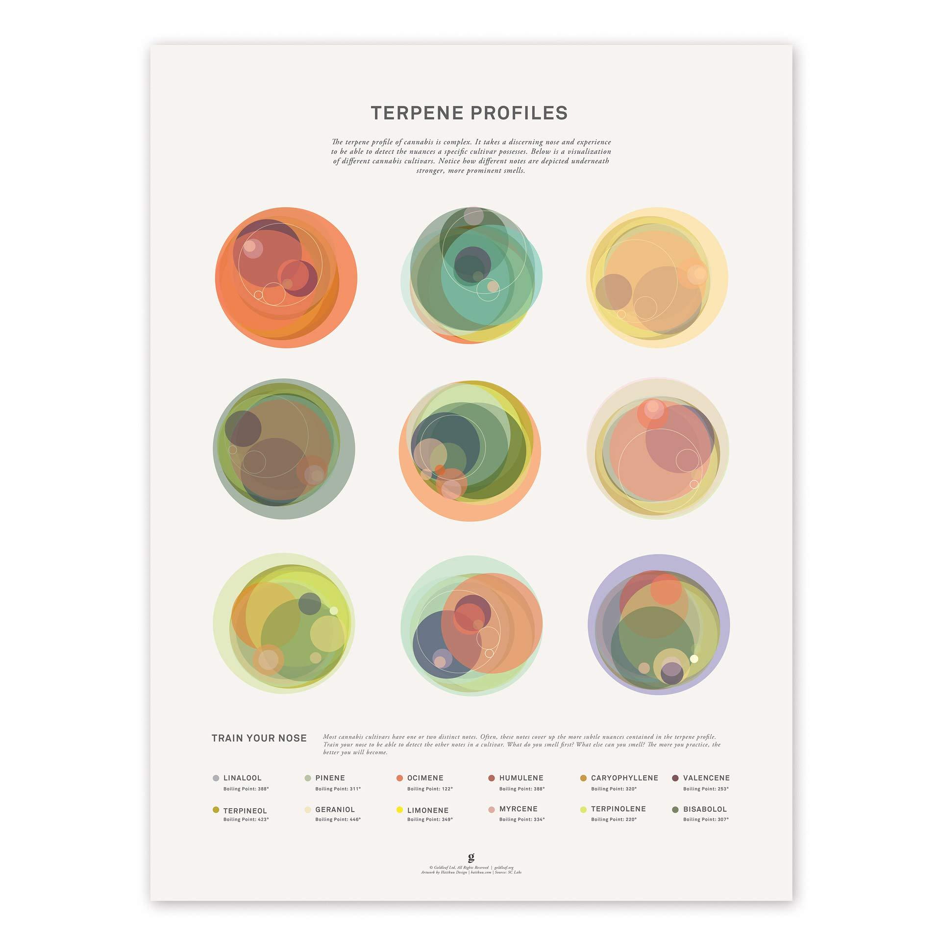 Understanding the Terpene Profile: Enhancing Flavor and Aroma