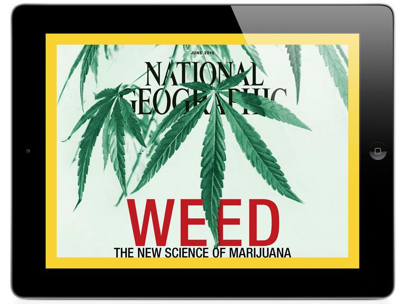 User reviews and ⁢Experiences: What Reddit Has to Say About Daaz THC Live ⁢Resin