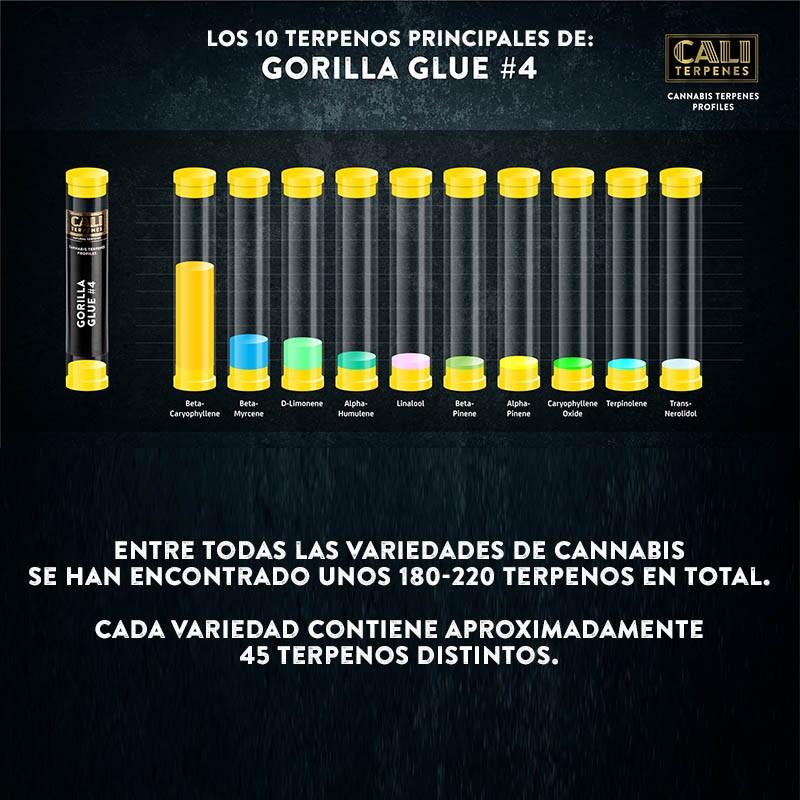 Terpene‌ Profiles: Enhancing Flavor‍ and Effects in Binoid Products