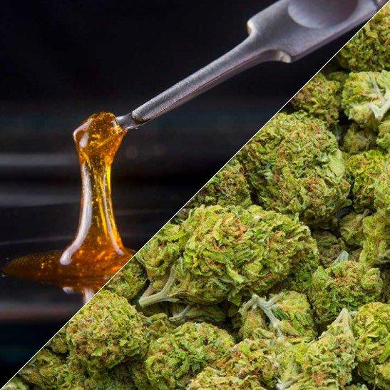 Health Impacts:⁢ Understanding Cannabinoids and ⁤Terpenes