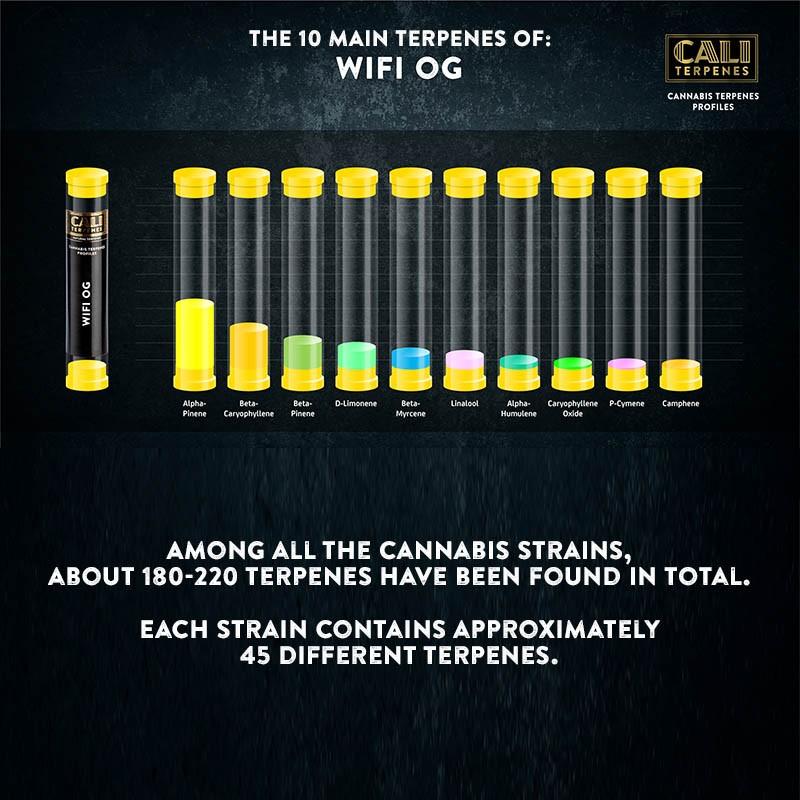 Cultivating Flavor:‍ Understanding ⁤Terpene Profiles in Live⁣ Rosin