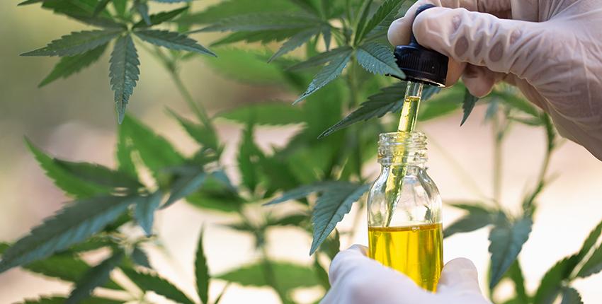the Legal Landscape of Cannabinoids​ in North Carolina