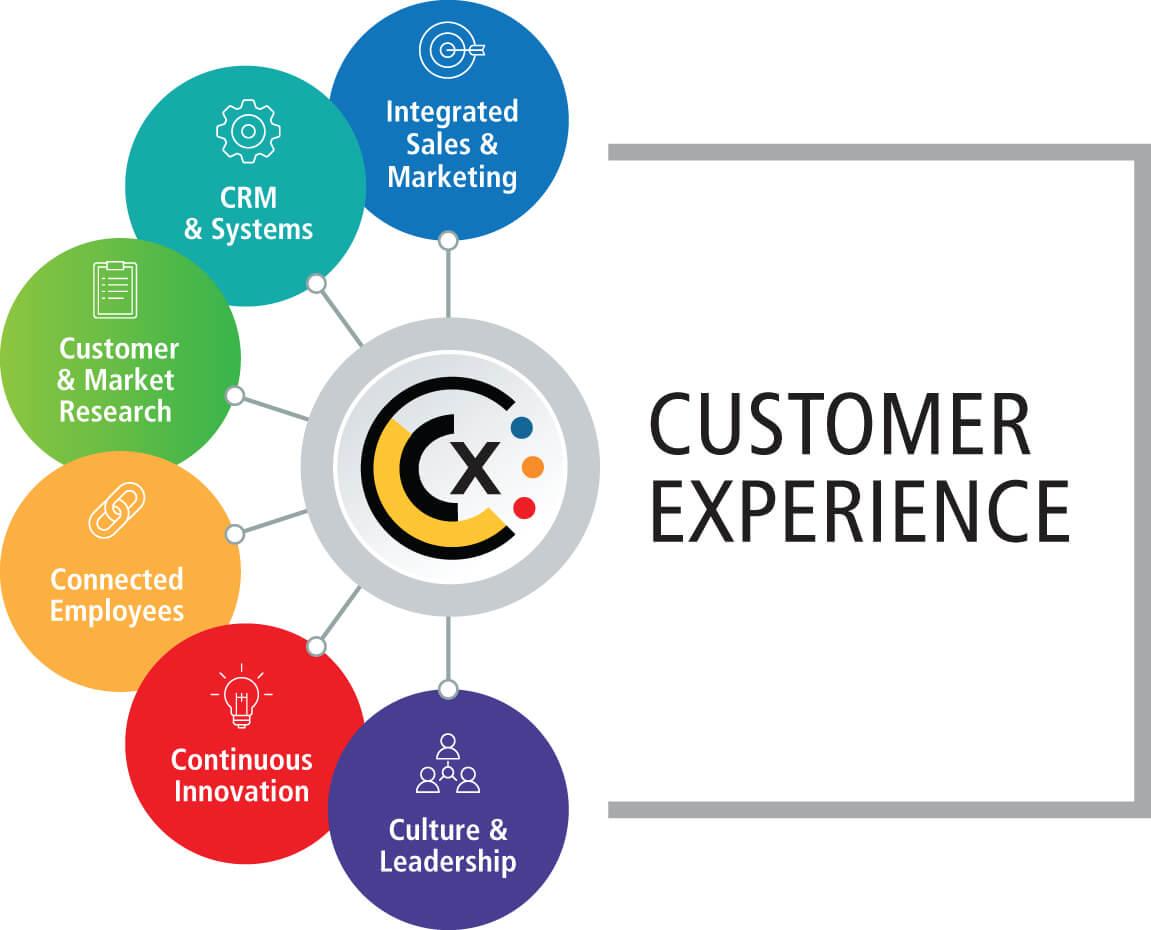 Customer Experiences: Testimonials and Insights from Users