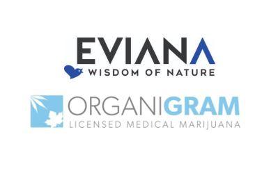Exploring the Unique Properties of EHC Hemp⁢ THCA