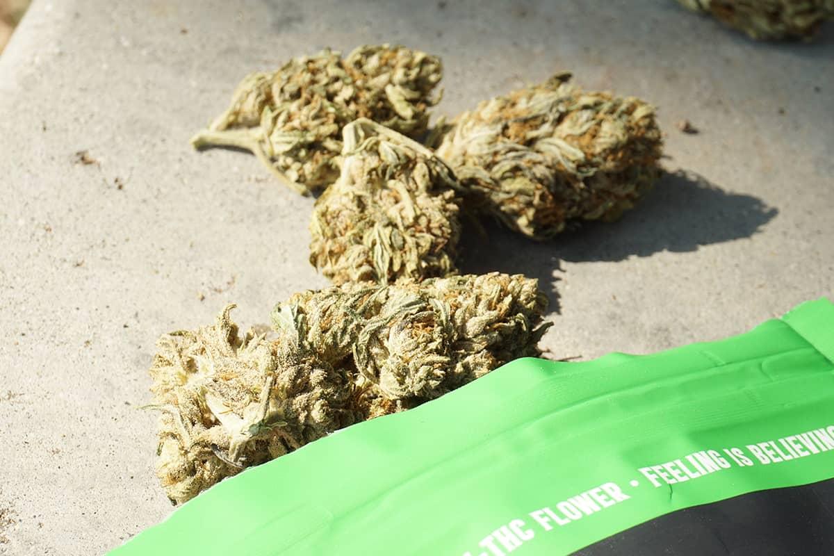 Exploring the Rise of THCV Flower in the‍ Cannabis Community