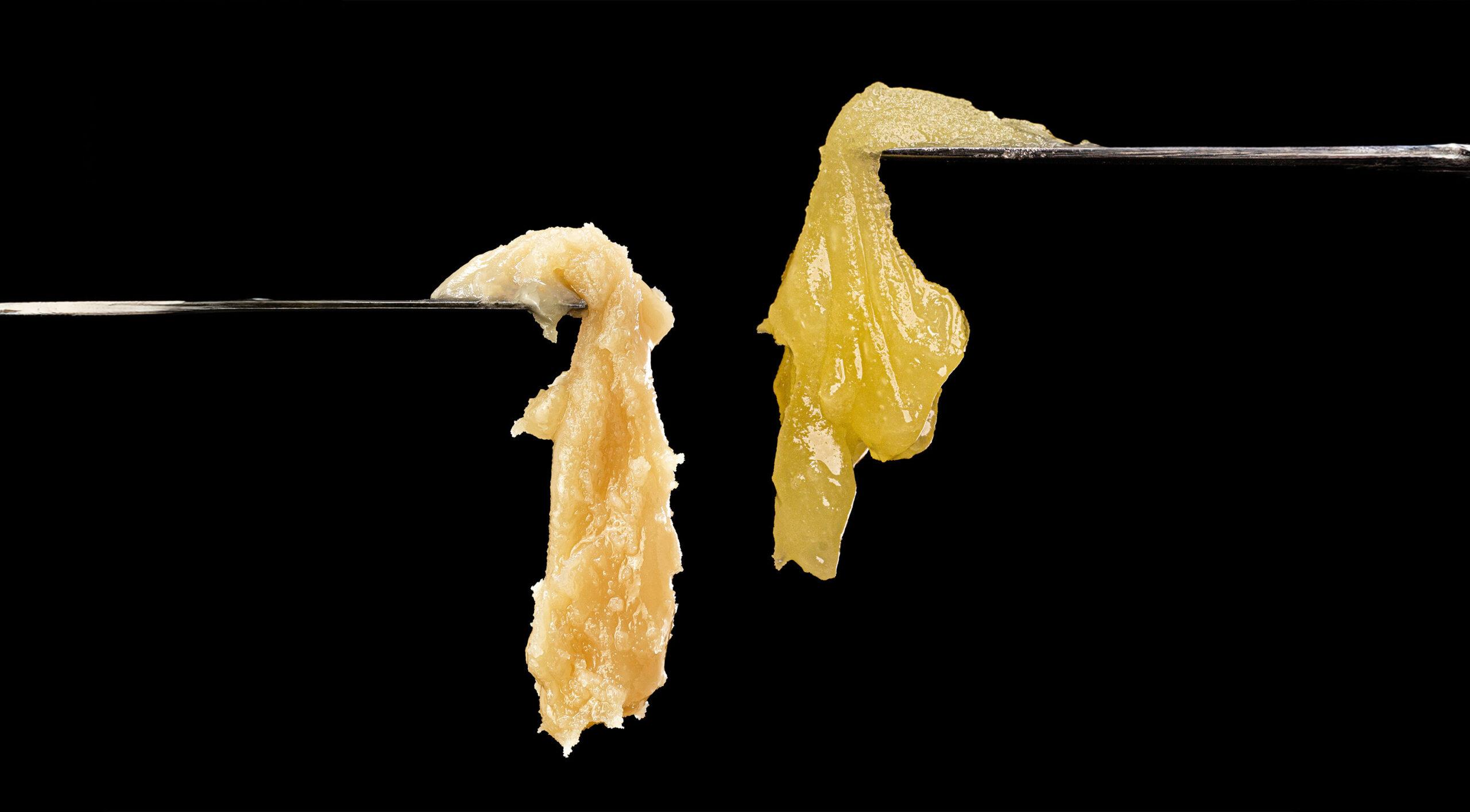 Strategic‌ Recommendations for Navigating Rosin ‍Rate Changes