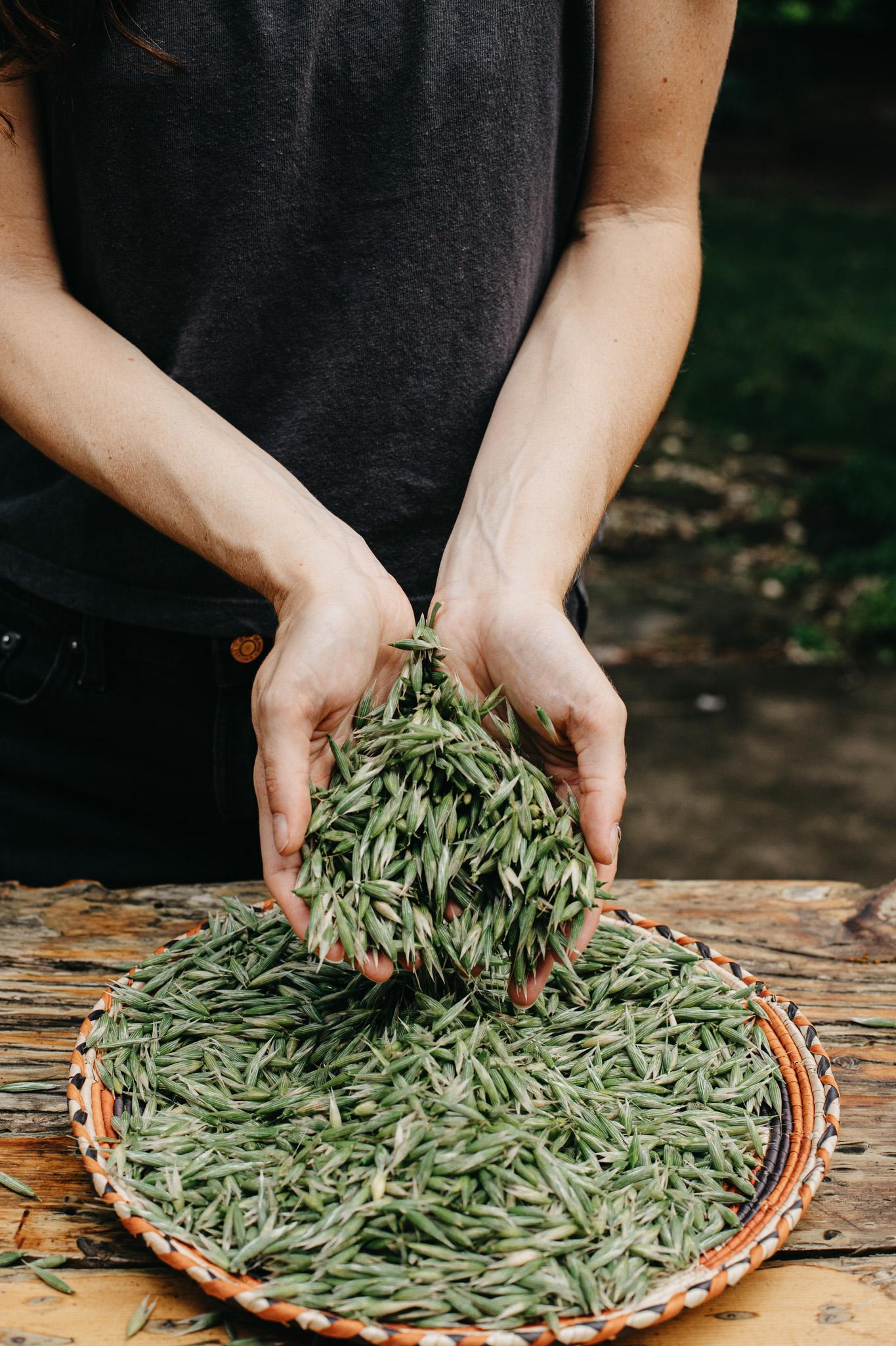 The Extraction Process: from Fresh⁤ Plant Material to Pure ⁢Concentrate