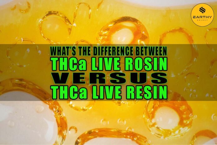 THCA vs Live Resin: Unraveling the Cannabis Benefits
