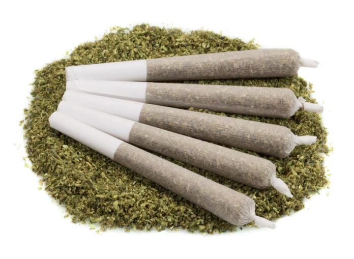 Unrolling the Basics: Discovering Hemp Pre-Rolls