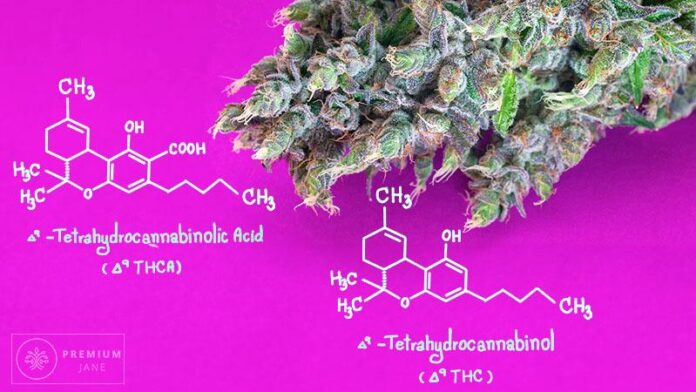 THCA vs. Delta-9 THC: Understanding the Key Differences