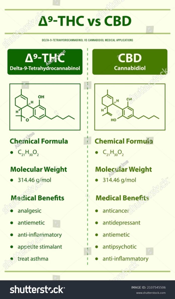 THC vs. D9 THC: Unraveling the Confusion in Cannabis Terms