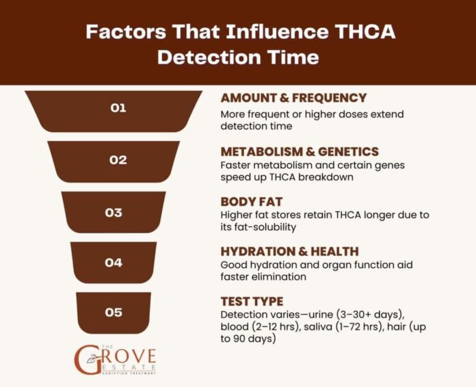 Exploring the Addictiveness of THCA: A Balanced Perspective