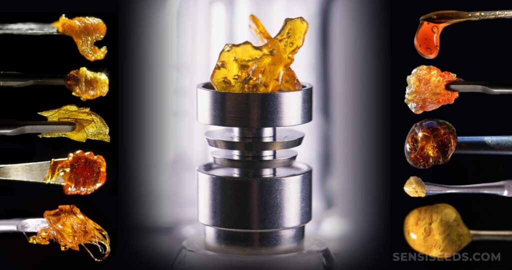 Exploring Rosin THC Wax: The Pure Essence of Cannabis