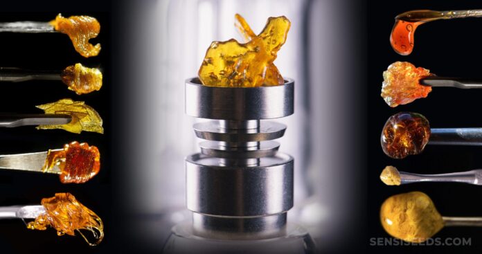 Exploring Rosin THC Wax: The Pure Essence of Cannabis