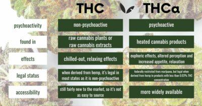 THCA: Unraveling the Legal Status of This Cannabis Compound THCA: Unraveling the Legal Status of This Cannabis Compound