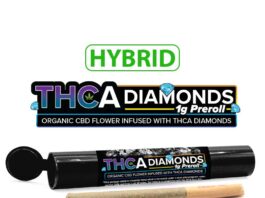 Exploring the Essence of THCA Pre-Roll Diamonds: A New Trend