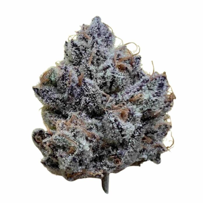 THCA in Australia: Legal Clarity in a Complex Landscape