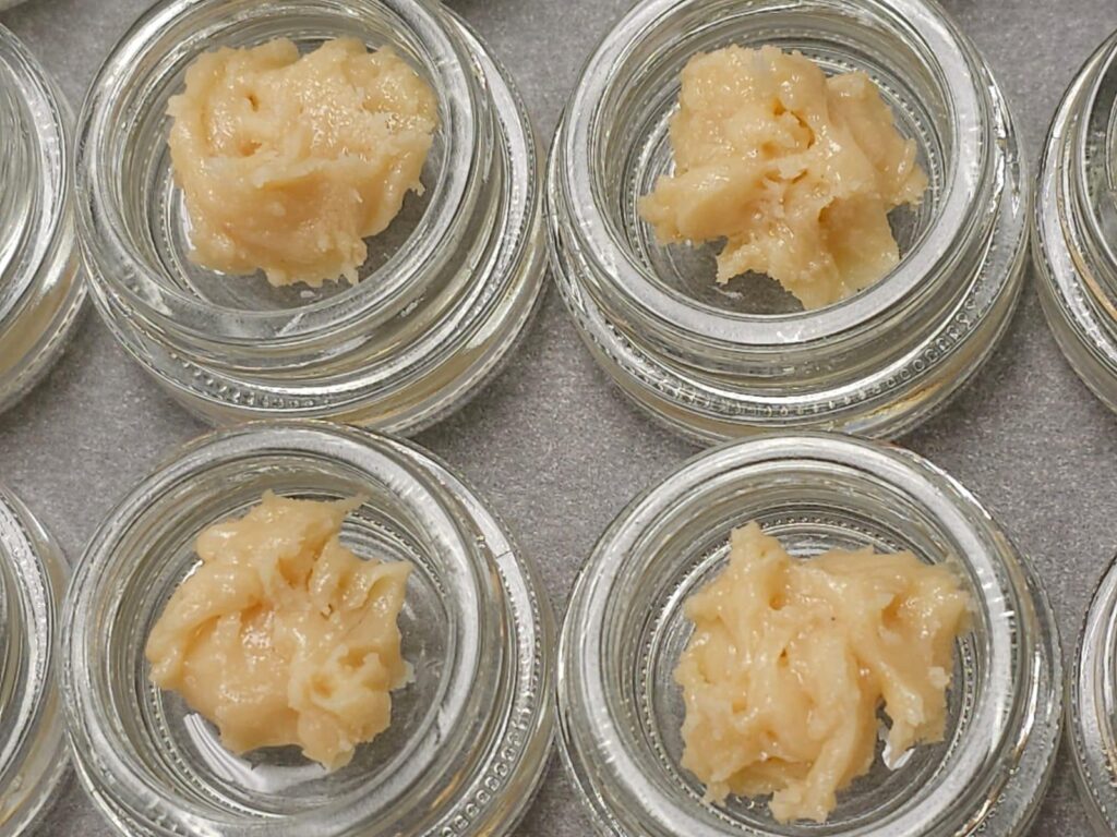 THCA Rosin vs. THC: Unveiling the Essential Differences