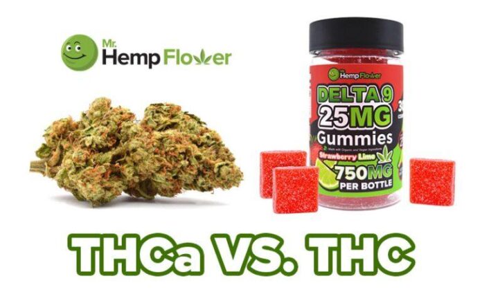 Exploring THCA Hemp Gummies: A Sweet Dose of Wellness