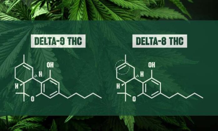 THCA vs. Delta-9 THC: Unraveling Key Cannabis Differences