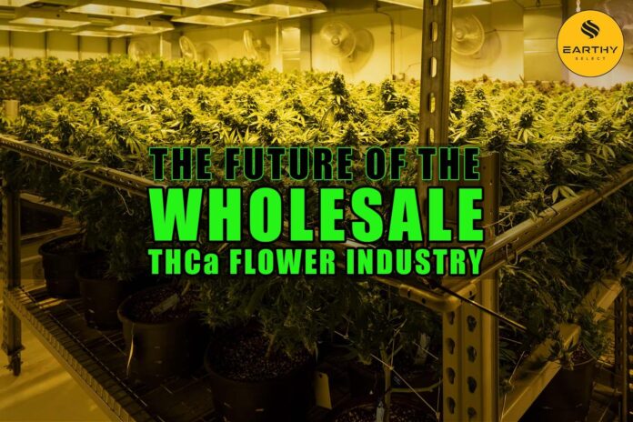THCA Market Growth: Latest Sales Data and Insights Revealed