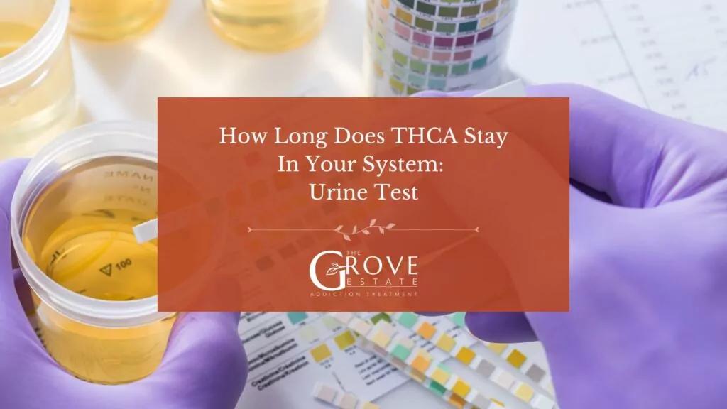 Implications of THCA Detection for Patients and Users