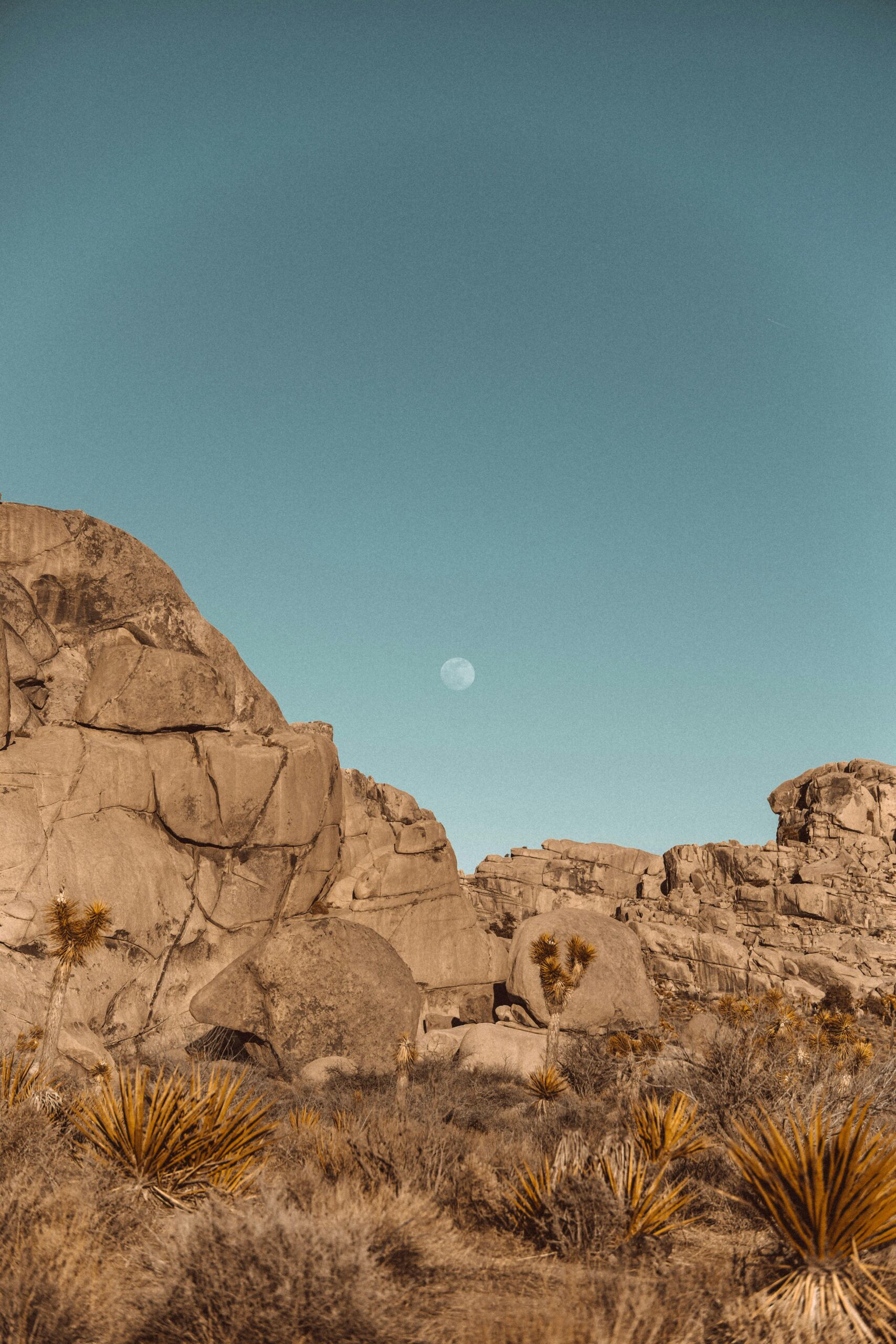 Decoding the Synergy ⁣of Ingredients in Moonrocks