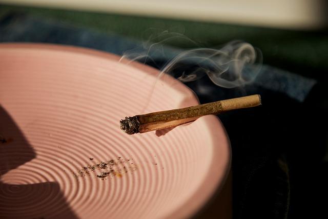 Unpacking the Value: Are Lava THCA Pre Rolls Worth the Investment?