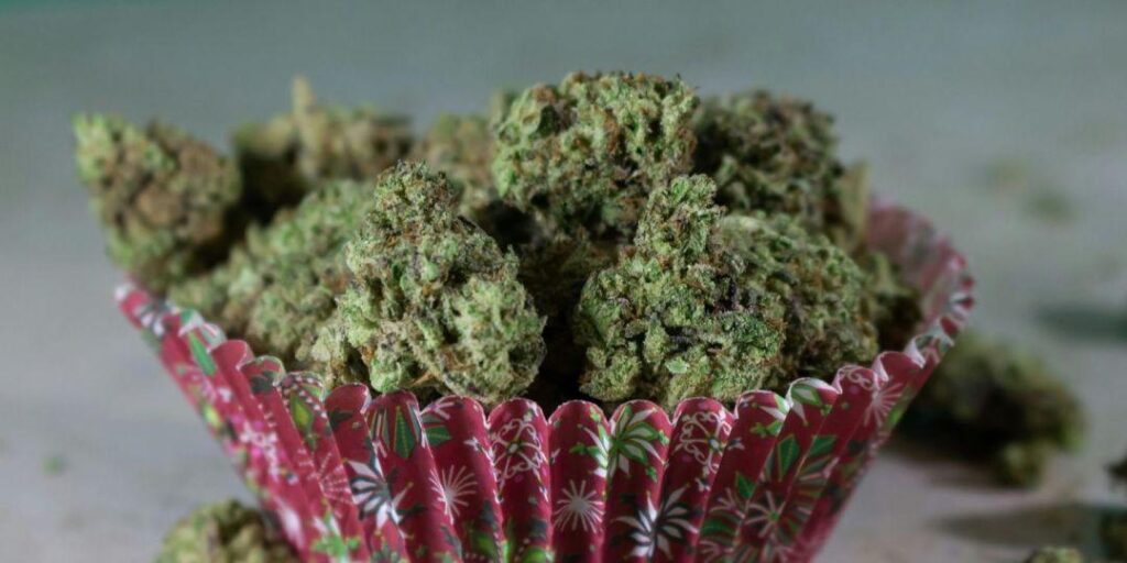Local Lab-Tested THCA Flower for Sleep: Find Near You