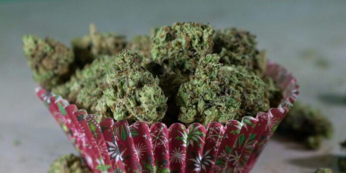 Local Lab-Tested THCA Flower for Sleep: Find Near You