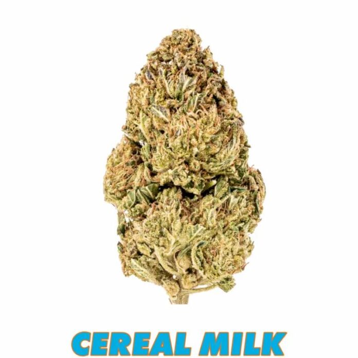 Bulk Finds: Best Indoor THCA Flower Strains