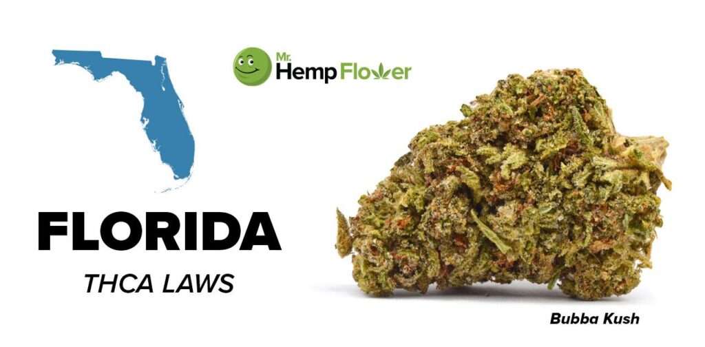 THCa in Florida: A Neutral Legal Guide for Residents