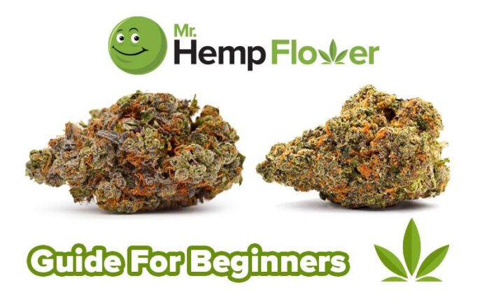 THCa Buyer’s Guide: Best Places and Price Comparison
