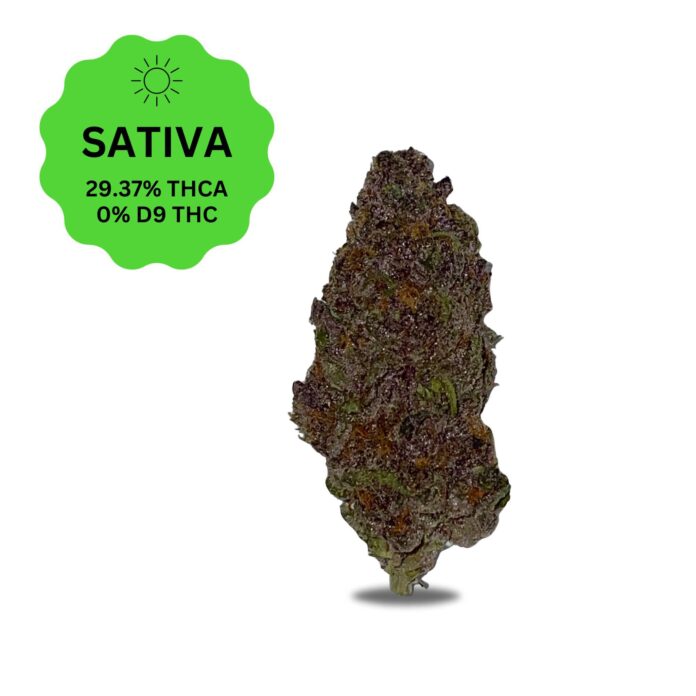Top-Shelf THCA Sativa Flower: Pure Potency & Aroma