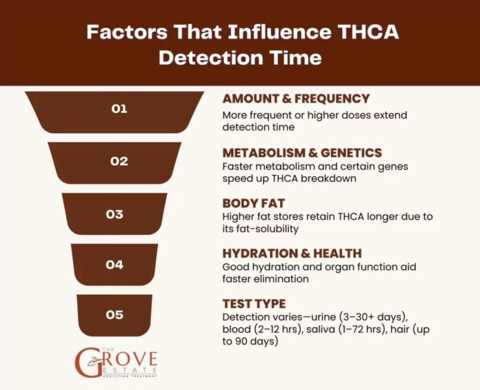 THCA Dosing: What It Feels Like at Different Levels