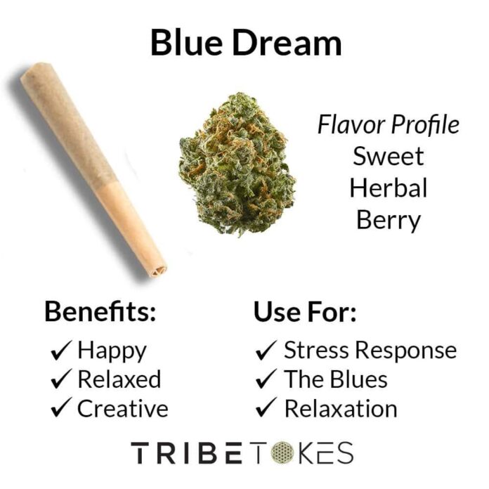 Farm-Fresh Rare THCa Strains for Gentle Relaxation