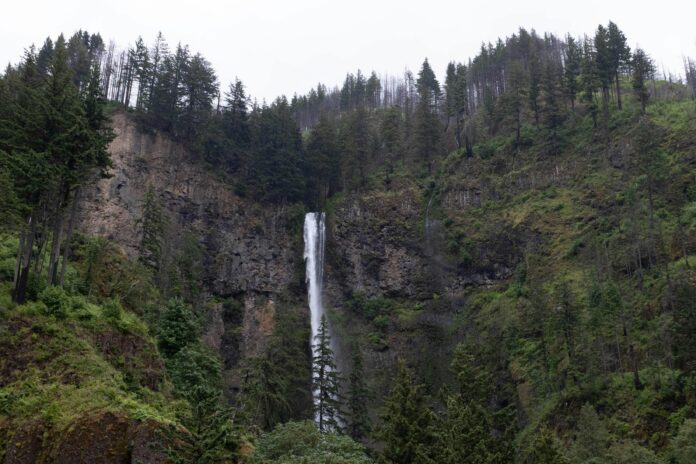 Buying Legal THCa in Oregon: A Practical Guide