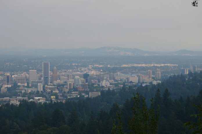 Where to Buy Legal THCa in Oregon: A Practical Guide