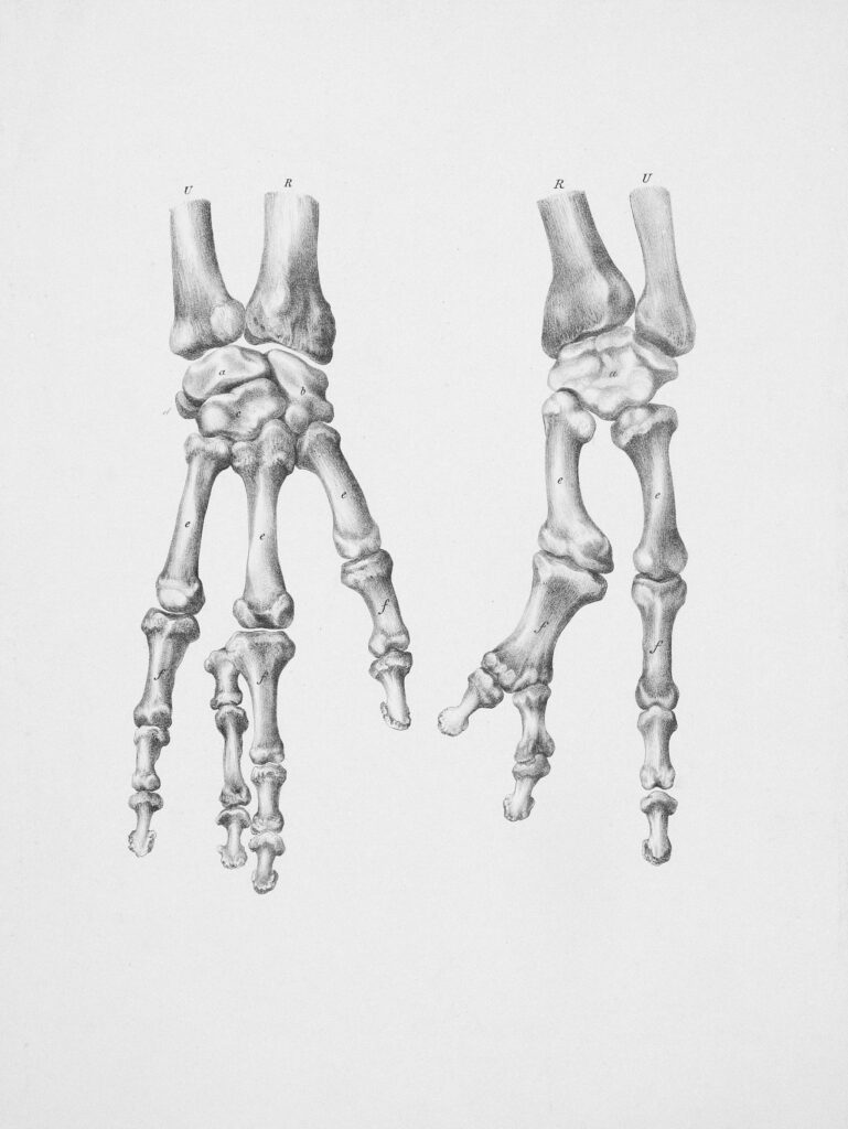 Experts Review Premium THCA Joints: Top-Shelf Flavor