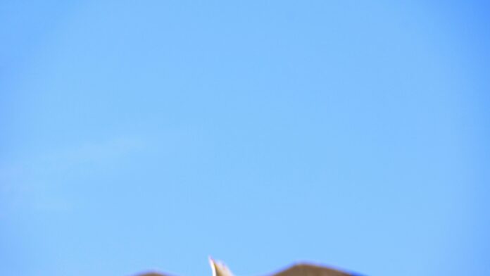 THCA Made Simple: Plain, Practical Ways to Use