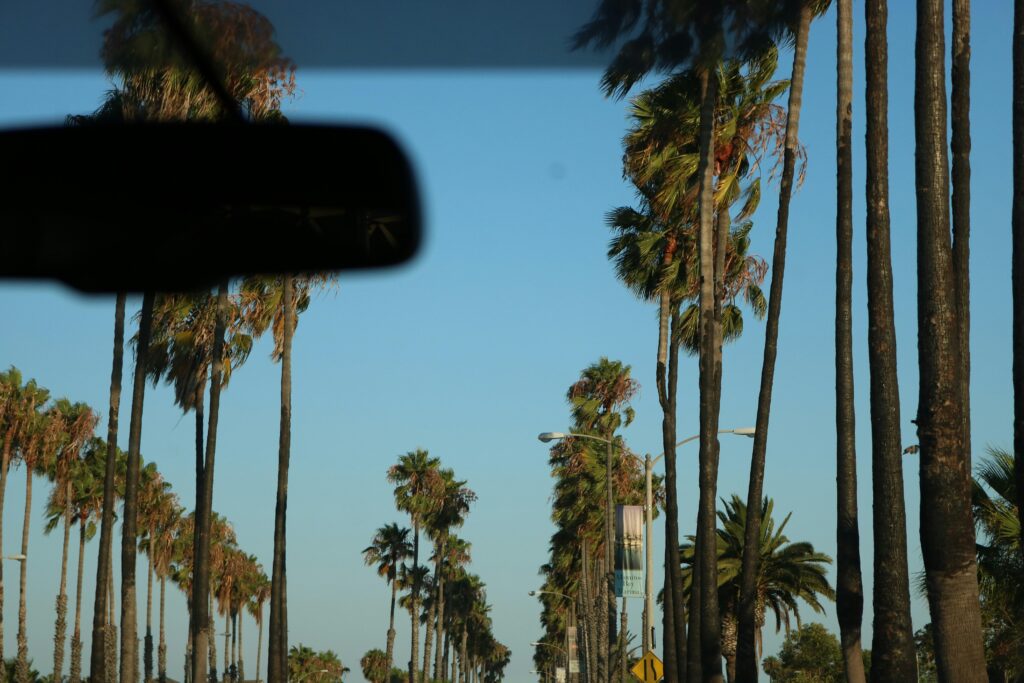 THCA in California: 2025 Legal Update Explained