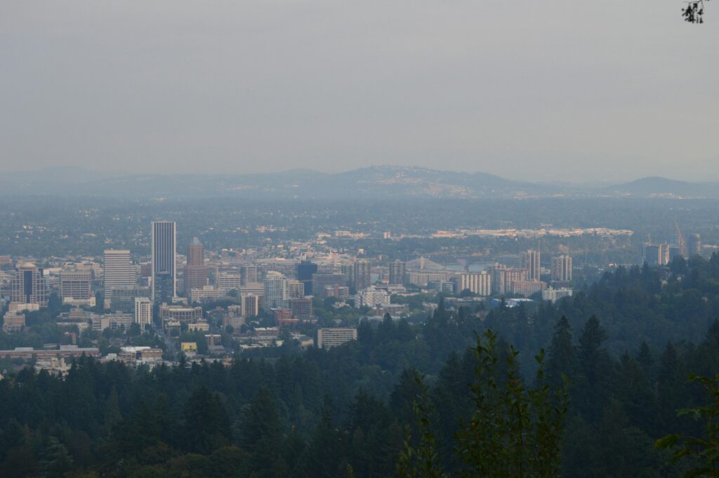 Legal THCa in Oregon: Buying Guide After Law Update