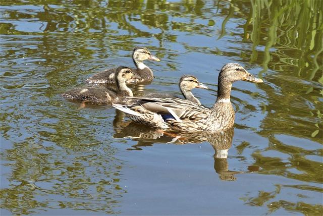 thca-explained-a-simple-creative-intro-guide.jpg THCA Explained: A Simple, Creative Intro Guide